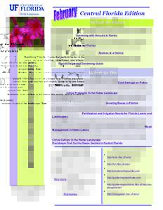 Central Florida Edition What to Plant Bedding Plants: Plants that perform better in the cooler months include petunia, pansy, verbena, dianthus, strawflower, and lobelia. Protect from frosts and freezing temperatures. Se