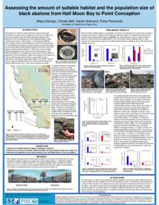 Assessing the amount of suitable habitat and the population size of black abalone from Half Moon Bay to Point Conception Maya George, Christy Bell, Karah Ammann, Peter Raimondi University of California at Santa Cruz INTR