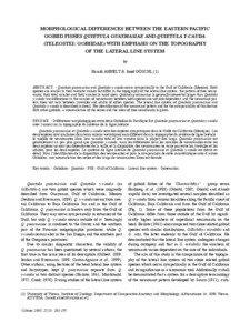 Morphological differences between the eastern Pacific gobiid fishes Quietula guaymasiae and Quietula y-cauda (Teleostei: Gobiidae) with emphasis on the topography