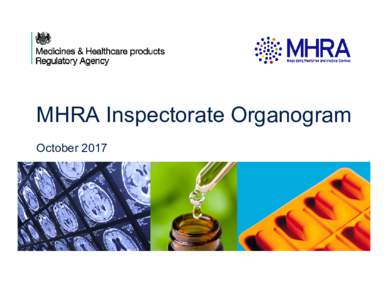 Microsoft PowerPoint - MHRA Inspectorate Organogram - October 17