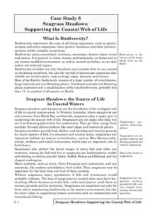 Case Study 6 Seagrass Meadows: Supporting the Coastal Web of Life What Is Biodiversity? Biodiversity represents the sum of all living organisms, such as plants, animals and micro-organisms, their genetic variations and t