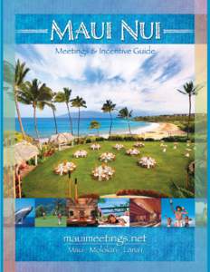 Kapalua /  Hawaii / Kapalua Resort / Kapalua Airport / Kaanapali /  Hawaii / Wailea /  Hawaii / Lahaina /  Hawaii / Makena State Park / West Maui Mountains / Lanai / Maui / Hawaii / Maui County /  Hawaii