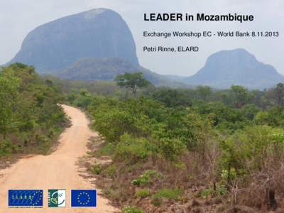 LEADER in Mozambique Exchange Workshop EC - World BankPetri Rinne, ELARD Background: LAG manager since 2001