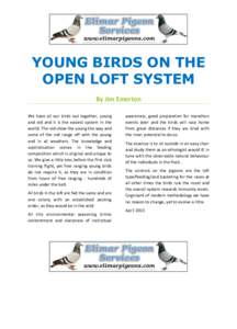 YOUNG BIRDS ON THE OPEN LOFT SYSTEM By Jim Emerton We have all our birds out together, young and old and it is the easiest system in the world. The old show the young the way and