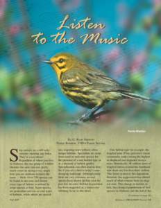 Listen to the Music Prairie Warbler  By G. Ryan Shurette