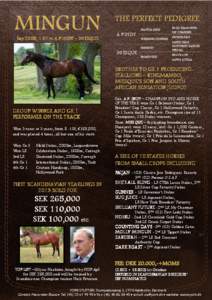 Miesque / A.P. Indy / Nureyev / Horse racing / Eclipse Award winners / French Horse Racing Hall of Fame