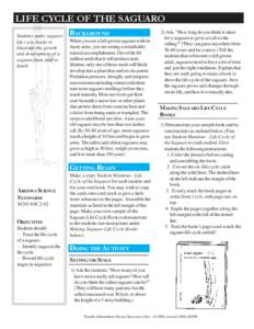 LIFE CYCLE OF THE SAGUARO Students make saguaro life cycle books to