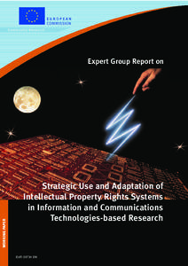 Working Paper - Expert Group Report