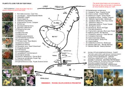 The plants listed below are not located on the map as they can be seen in abundance at many locations along your walk. PLANTS TO LOOK FOR ON YOUR WALK * PHOTOGRAPHS: Check the location map as a