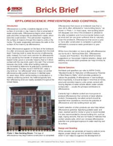 Brick Brief  August 2009 EFFLORESCENCE PREVENTION AND CONTROL Introduction