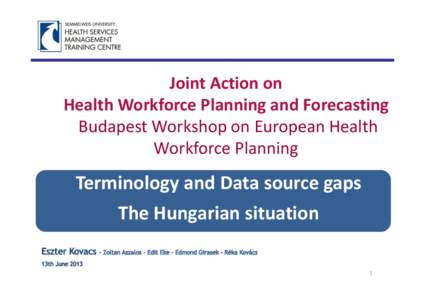 Joint Action on Health Workforce Planning and Forecasting Budapest Workshop on European Health Workforce Planning  Terminology and Data source gaps
