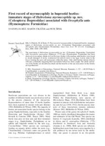 Entomology / Zoology / Weaver ant / Ant / Myrmecophily / Beetle / Oecophylla smaragdina / Histeridae / Insect / Formicinae / Phyla / Protostome