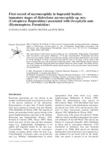 First record of myrmecophily in buprestid beetles: immature stages of Habroloma myrmecophila sp. nov. (Coleoptera: Buprestidae) associated with Oecophylla ants (Hymenoptera: Formicidae) ´ MARTIN FIKÁCEK ˇ