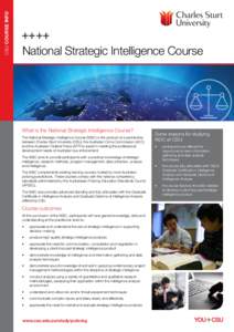 CSU COURSE INFO  National Strategic Intelligence Course What is the National Strategic Intelligence Course? The National Strategic Intelligence Course (NSIC) is the product of a partnership