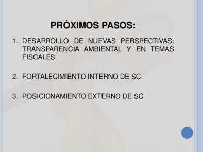 PRÓXIMOS PASOS: 1. DESARROLLO DE NUEVAS PERSPECTIVAS: TRANSPARENCIA AMBIENTAL Y EN TEMAS FISCALES 2. FORTALECIMIENTO INTERNO DE SC 3. POSICIONAMIENTO EXTERNO DE SC