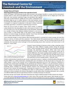 Reducing greenhouse gas emissions from agricultural lands Cattle and forage on the landscape provide many economic and ecological benefits to society and the environment: Canadian beef is a safe, secure and healthy food 