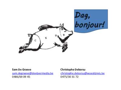 Dag, bonjour! Sam De Graeve