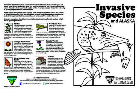Invasive Species are plants or animals that make their home in places where they are not  usually found and are not wanted. When they move into a new area, they can harm the lands and waters that native plants and animal