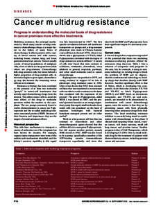 © 2000 Nature America Inc. • http://biotech.nature.com  DISEASES Cancer multidrug resistance