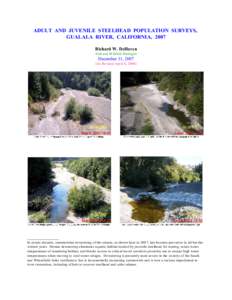 ADULT AND JUVENILE STEELHEAD POPULATION SURVEYS, GUALALA RIVER, CALIFORNIA, 2007 Richard W. DeHaven Fish and W ildlife Biologist  December 31, 2007