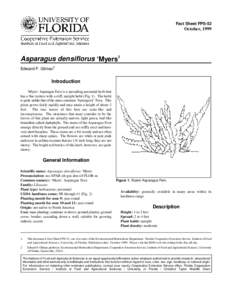 Fact Sheet FPS-52  October, 1999 Asparagus densiflorus ‘Myers1 Edward F. Gilman2