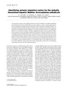 Ibis (2006), 148, 735–743  Identifying autumn migration routes for the globally threatened Aquatic Warbler Acrocephalus paludicola  Blackwell Publishing Ltd