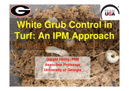 White Grub Control in Turf: An IPM Approach