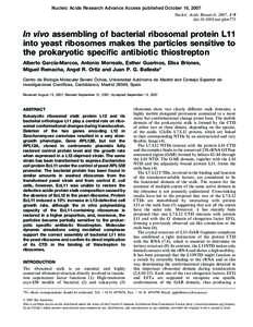 Nucleic Acids Research Advance Access published October 16, 2007 Nucleic Acids Research, 2007, 1–9 doi:nar/gkm773 In vivo assembling of bacterial ribosomal protein L11 into yeast ribosomes makes the particles s