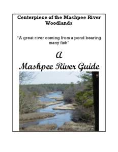 Centerpiece of the Mashpee River Woodlands “A great river coming from a pond bearing many fish”  A