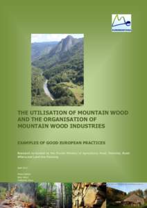 THE UTILISATION OF MOUNTAIN WOOD AND THE ORGANISATION OF MOUNTAIN WOOD INDUSTRIES EXAMPLES OF GOOD EUROPEAN PRACTICES Research co-funded by the French Ministry of Agriculture, Food, Fisheries, Rural Affairs and Land Use 
