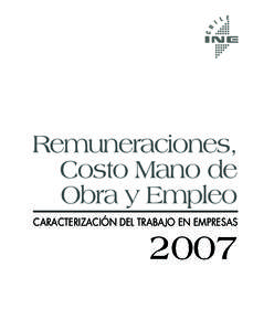 Remuneraciones, Costo Mano de Obra y Empleo CARACTERIZACIÓN DEL TRABAJO EN EMPRESAS  2007