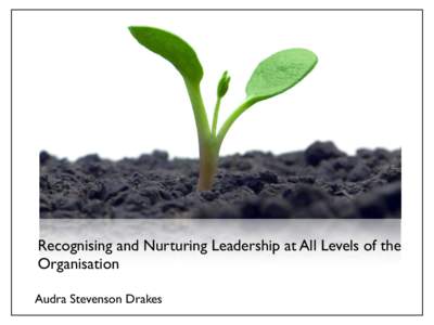 Recognising and Nurturing Leadership at All Levels of the
 Organisation Audra Stevenson Drakes Industry Challenges • Downturn in the economy