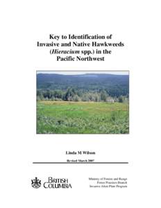 Key to Identification of Invasive and Native Hawkweeds (Hieracium spp.) in the Pacific Northwest  Linda M Wilson