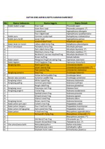 Fauna of Asia / Microhyla / Rhacophorus / Ahaetulla / Common green frog / Dendrelaphis / Hylarana chalconota / Frog / Hylarana siberu / Hylarana / Herpetology / Colubrids