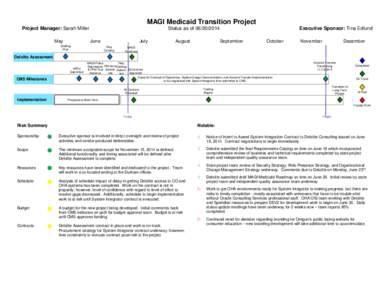 MAGI Medicaid Status Report