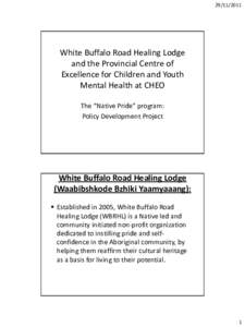 White Buffalo Road Healing Lodge and the Provincial Centre of Excellence for Children and Youth Mental Health at CHEO