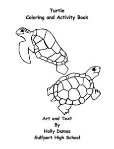 Turtle Coloring and Activity Book