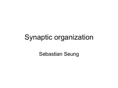 Synaptic organization Sebastian Seung Classical neurodynamics  €