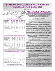 STATE OF THE COUNTY HEALTH REPORT Mitchell County , North Carolina 2012 “The Mitchell Community Health Partnership is a team of citizens and agencies working to improve the health of the people of Mitchell County”