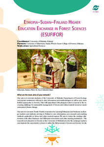 Ethiopia–Sudan–Finland Higher Education Exchange in Forest Sciences (ESUFIFOR) Coordinator: University of Helsinki, Finland Partners: University of Khartoum, Sudan; Wondo Genet College of Forestry, Ethiopia Study are