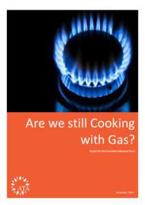 Are we still Cooking with Gas? Report for the Consumer Advocacy Panel November 2014