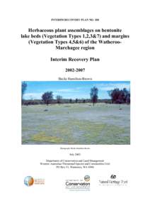 INTERIM RECOVERY PLAN NO[removed]Herbaceous plant assemblages on bentonite lake beds (Vegetation Types 1,2,3&7) and margins (Vegetation Types 4,5&6) of the WatherooMarchagee region Interim Recovery Plan