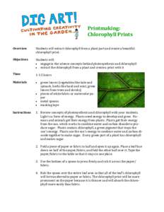 Plant physiology / Photosynthetic pigments / Chlorophyll / Pigmentation / Photosynthesis / Binh Danh / Biological pigment / Plant / Chlorophyll a / Biology / Chemistry / Tetrapyrroles