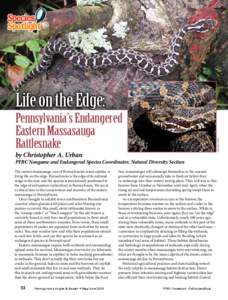 Swamp rattler / Rattlesnake / Wild Resource Conservation Program / Wetland / Ecology / Environment / Biology / Crotalinae / Fauna of Canada / Sistrurus catenatus