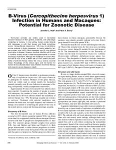 SYNOPSIS  B-Virus (Cercopithecine herpesvirus 1) Infection in Humans and Macaques: Potential for Zoonotic Disease Jennifer L. Huff* and Peter A. Barry*
