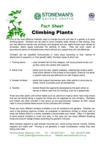 Fact Sheet  Climbing Plants One of the most effective methods used to change the look and feel of a garden is to grow climbing plants. Climbers can be used to cover unsightly walls, fences or tree stumps, they are very e
