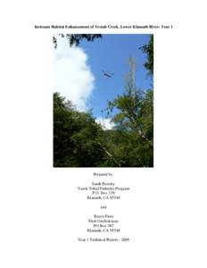 Instream Habitat Enhancement of Tectah Creek, Lower Klamath River: Year 1  Prepared by: Sarah Beesley Yurok Tribal Fisheries Program P.O. Box 339