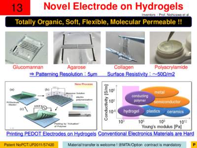 13  Novel Electrode on Hydrogels Inventors : Prof. Nishizawa et al  Totally Organic, Soft, Flexible, Molecular Permeable !!