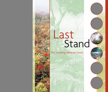 Last  Stand The Vanishing Hawaiian Forest