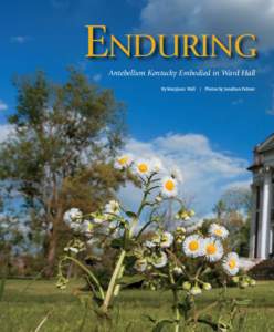 Enduring Antebellum Kentucky Embodied in Ward Hall By Maryjean Wall 46